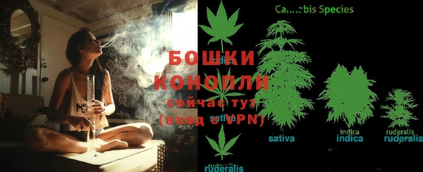 амф Магас