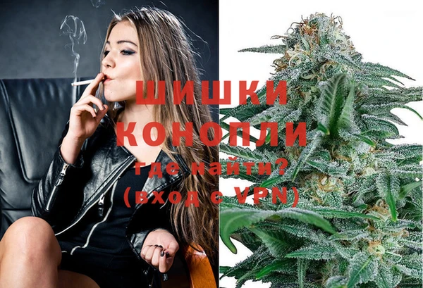 амф Магас