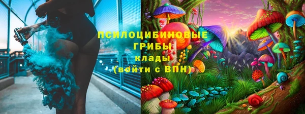 гидра Алексин