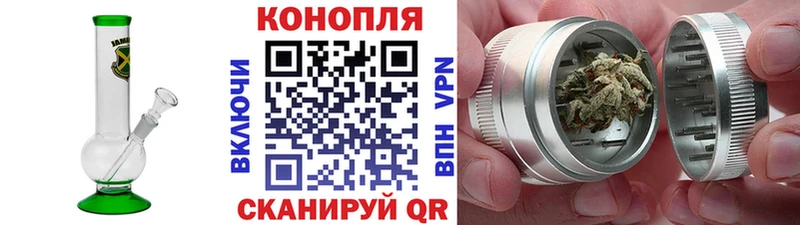 OMG вход  Алагир  Бошки Шишки тримм 